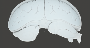 Ruthenium in Medical Imaging